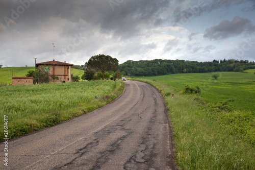 green summer landscape in tuscany, Italy