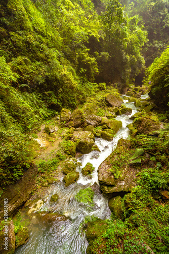 A brook in the middle of the valley