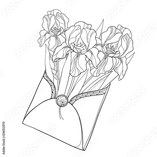 Fototapeta Naklejka Na Ścianę i Meble -  Vector bouquet with outline Iris flower, bud and ornate leaves in open craft envelope in black isolated on white background. Drawing of Iris in contour for spring or summer design and coloring book.