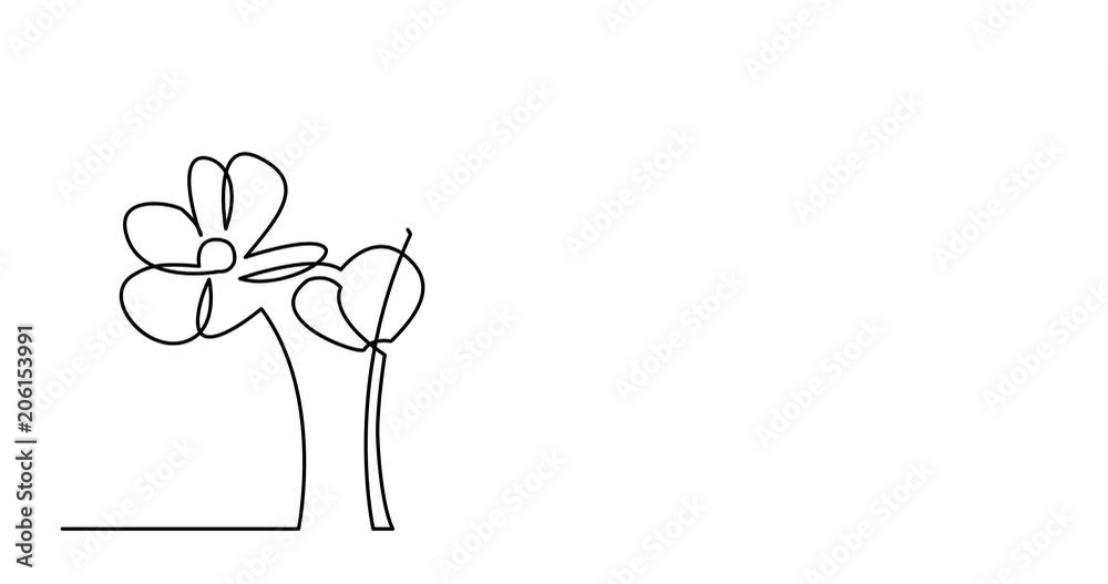 Self drawing animation of continuous line drawing of beautiful flowers Self drawing animation of continuous line drawing of beautiful flowers