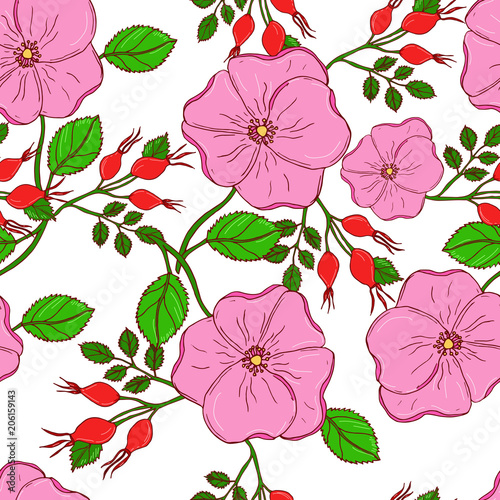 Vector seamless floral background with pink flowers of dog roses