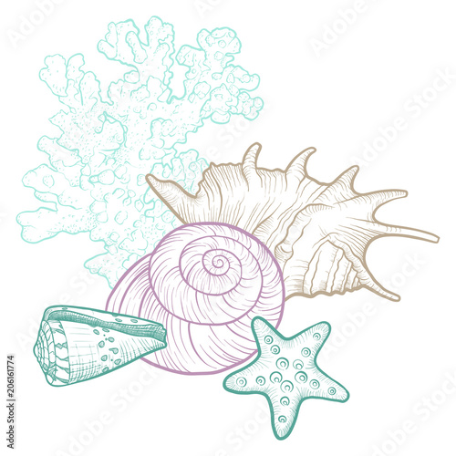 vector background with seashells