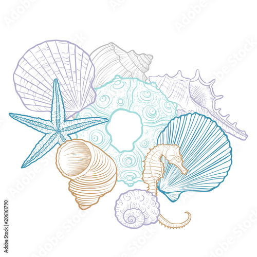 vector background with seashells