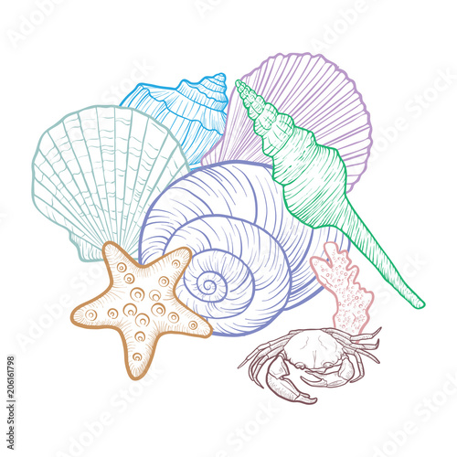 vector background with seashells