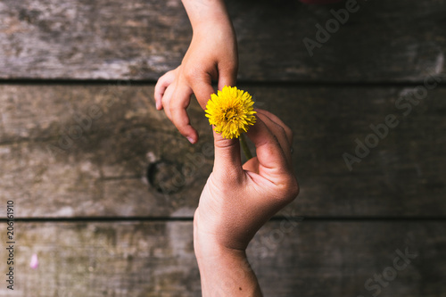 Parent and child hands handing flowers
