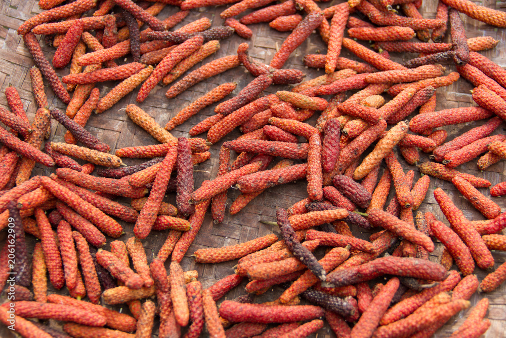 Piper longum (herb) dried in a basket Piper longum (herb) dried in a basket