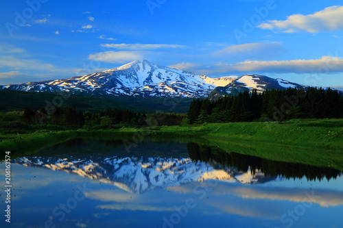 Fototapeta Naklejka Na Ścianę i Meble -  新緑の鳥海山