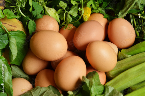 A pile of raw  brown  eggs  on green background