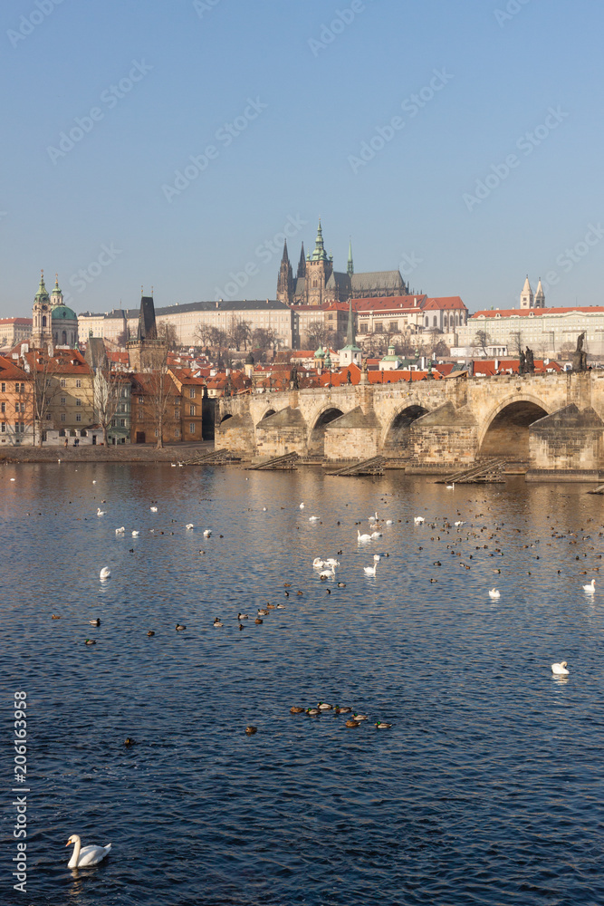Charles Bridge and St. Vitus Cathedral in the background