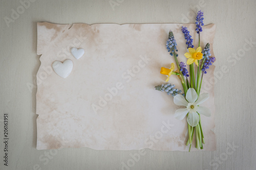 Bouquet of daffodils and muscari flowers on a wooden background with white hearts. Copy space, top view. Holiday card. Holiday background. Copy space.