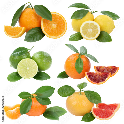 Collage Orangen Zitrone Mandarine Grapefruit Früchte Freisteller freigestellt isoliert
