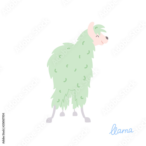 Vector illustration of  llama