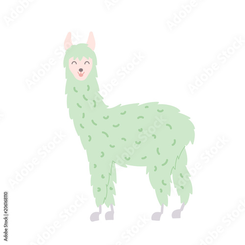 Vector illustration of  llama