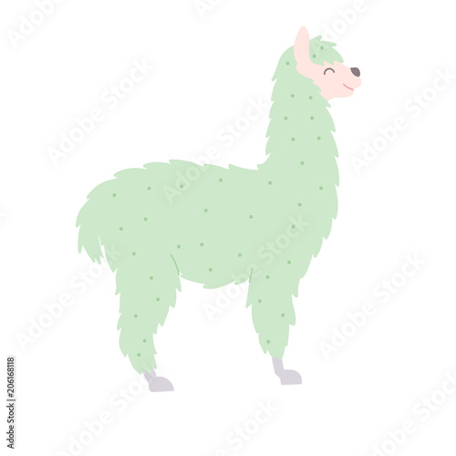Vector illustration of  llama
