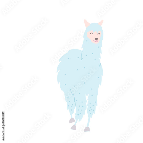 Vector illustration of  llama