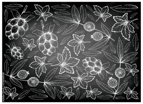 Hand Drawn Cloudberry and Cabeludinha Fruits on Chalkboard