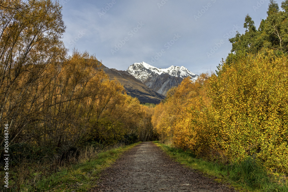 Fototapeta premium The beautiful autumn lookout of Glenorchy