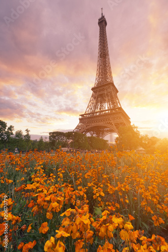 Obraz Zmierzch przy wieżą eifla w Paryż, Francja z kwiatami na przedpolu