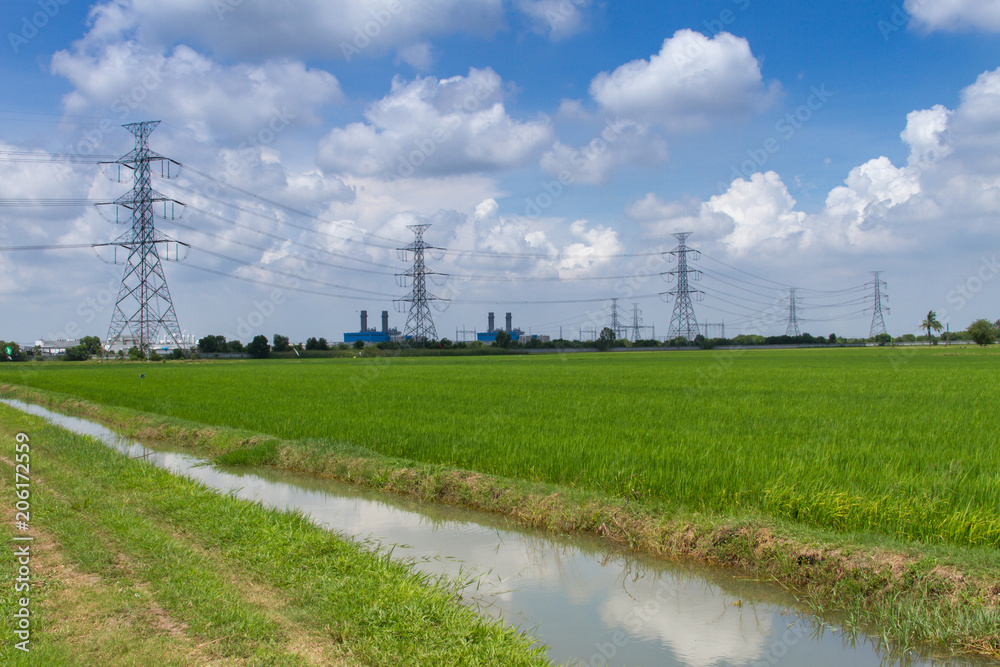 Rice fields with high power lines.