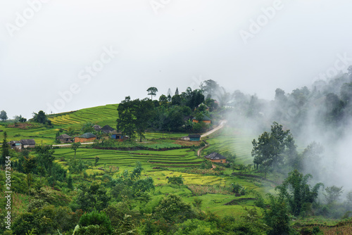 Terraced rice field landscape with misty clouds of Y Ty  Bat Xat district  Lao Cai  north Vietnam
