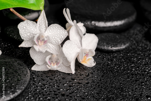 Fototapeta Naklejka Na Ścianę i Meble -  spa concept of zen massaging stones, white orchid
