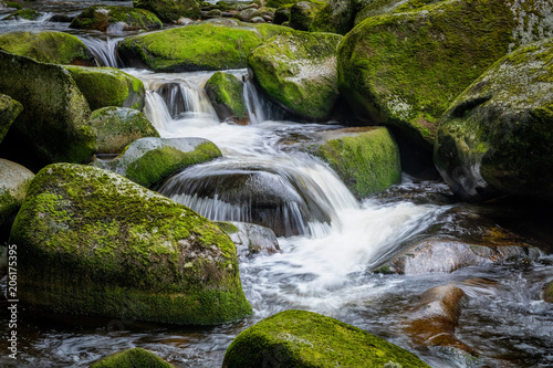 Obraz na płótnie Beautiful small waterfall in green Spruce forest with big rocks around, Vydra river in Sumava, Czech Republic w salonie