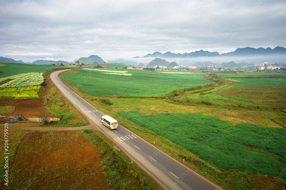 Aerial view of green field with curved road in Moc Chau farm field, Son La province, Vietnam