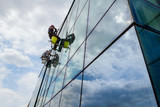 Industrial climbers are applying silicone on joints between windows