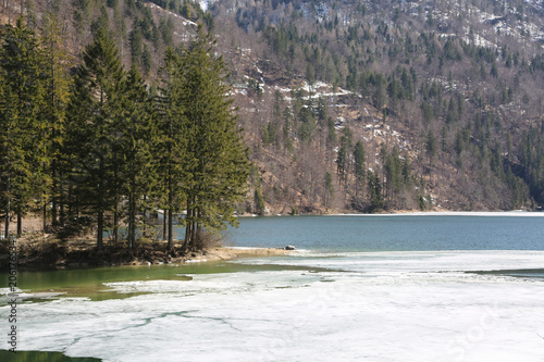island wtih tree on the iced alpine lake