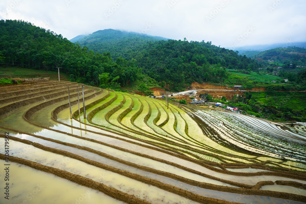Terraced rice field in water season, the time before starting grow rice in Y Ty, Lao Cai province, Vietnam