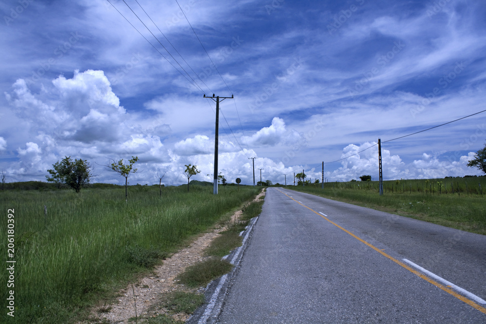 Fototapeta premium Road and electricity poles in Trinidad outskirts