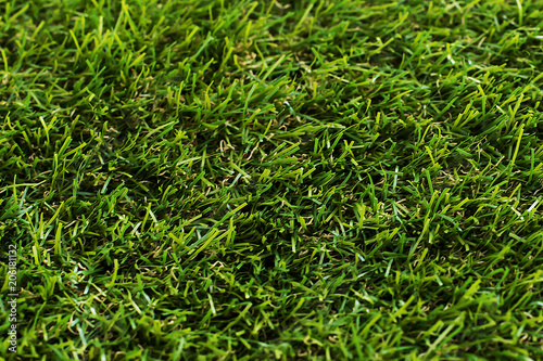 green and juicy grass, background