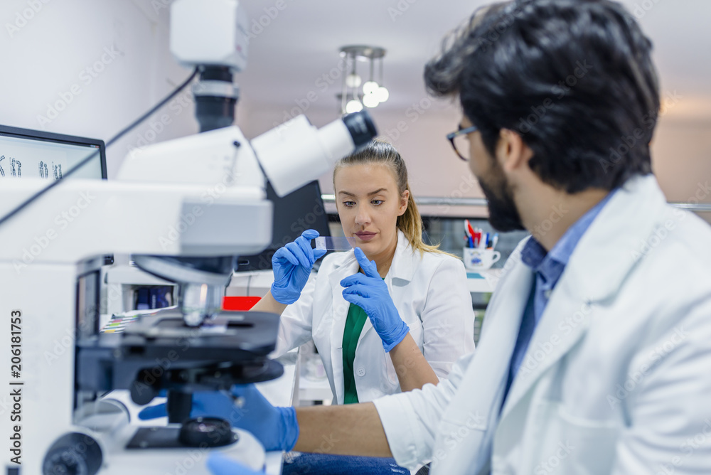 Young chemists working on scientific research in a laboratory. Young chemists working on scientific research in a laboratory.