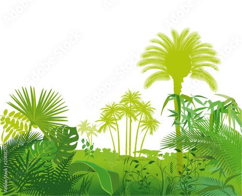 Tropical exotic plants illustration