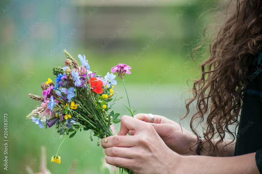 closeup of wild flowers bouquet in hand of young woman in a meadow