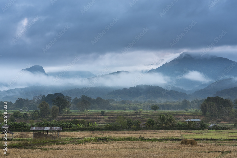 Morning pictures with mist and mountains are many. Huts and trees, and forests behind the fields..