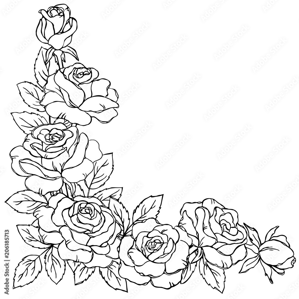 vector contour rose flowers bud leaf branch coloring book pattern ...