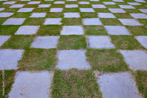 Stone pathway in the garden. grass floor, square yard in the garden.