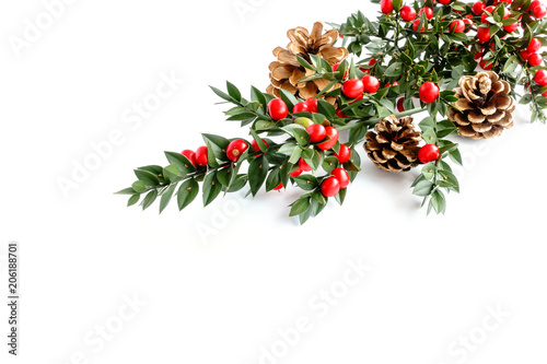 Branch with Green Leaves, Berries and Pine Cones