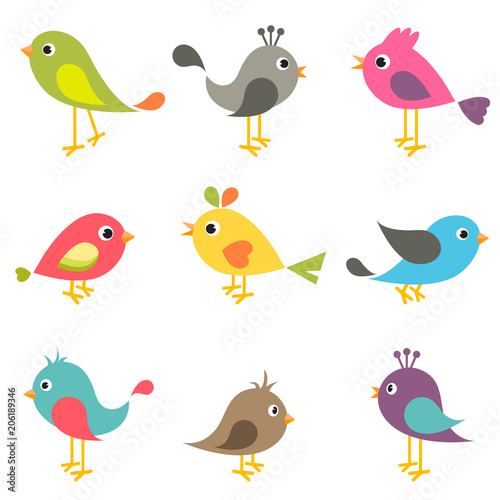 Set of colorful birds