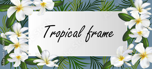Plumeria flowers on tropical banner
