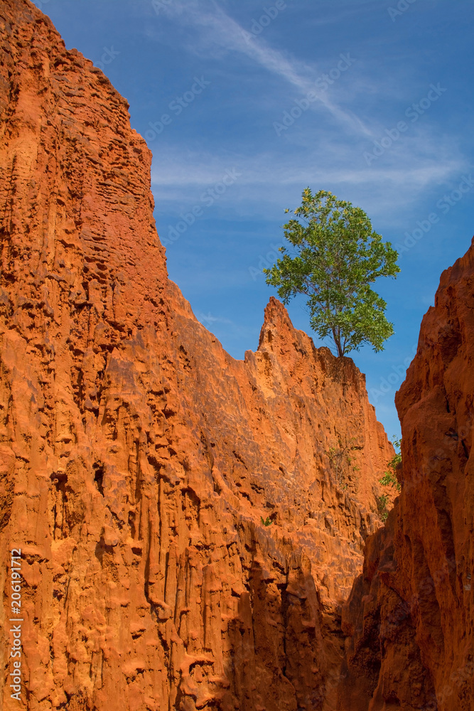 The Bong Lai or Suoi Tre Red Canyons near Mui Ne in south central Bình Thuan Province, Vietnam
