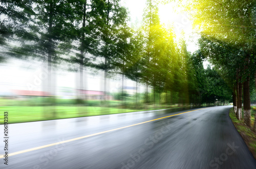 asphalt road with tree lawns under sunshine © zhu difeng