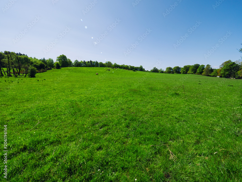 Sunny spring countryside,Northern Ireland