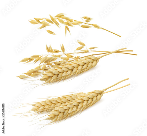 Stampa su tela Wheat and oat set isolated on white background