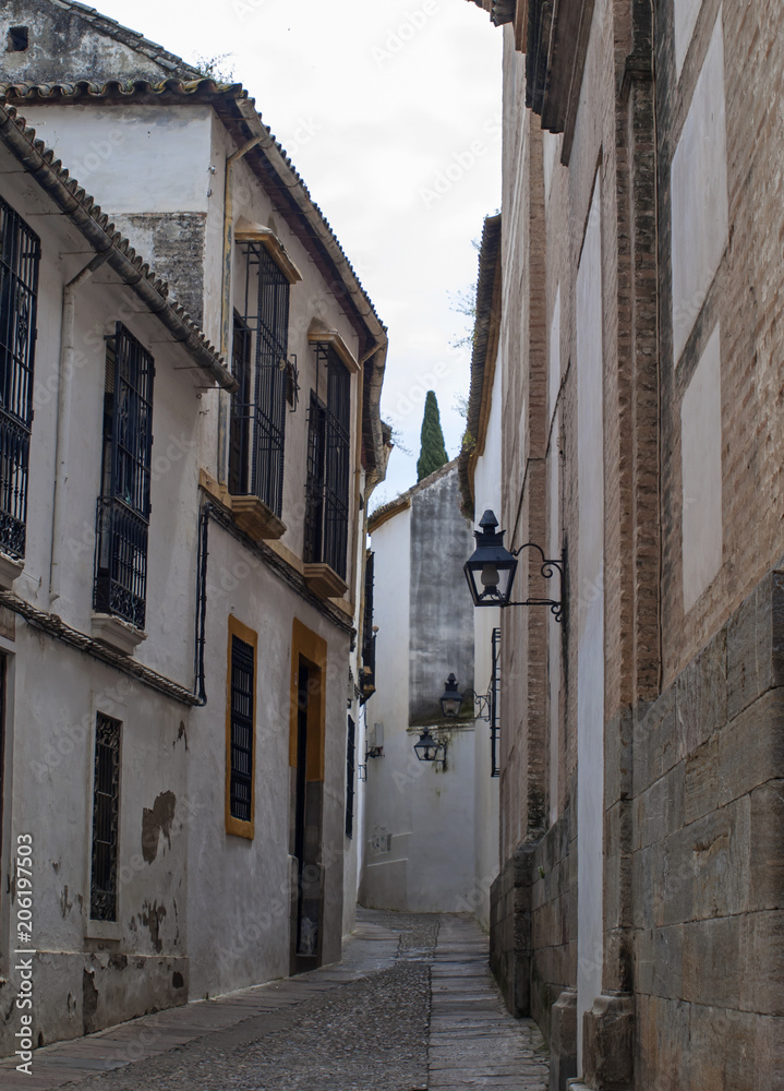 Calle estrecha en Córdoba  / Narrow street in Cordoba. Andalucía. España