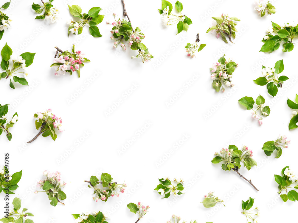 Flowers of an apple tree on a white background, top view, flat layout. concept spring, summer, Mother's Day holiday, March 8. Flowers of an apple tree on a white background, top view, flat layout. concept spring, summer, Mother's Day holiday, March 8.