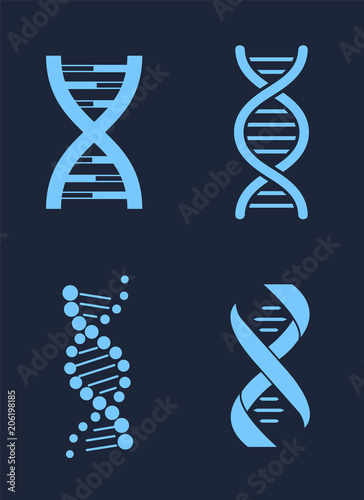 Set of DNA Icon Chains Genetic Personal Codes