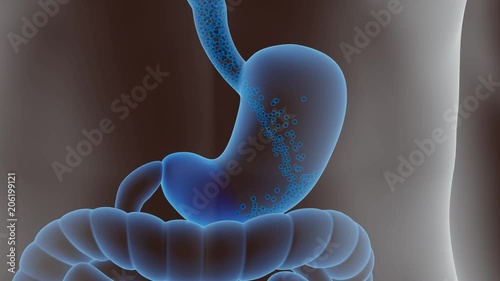 Stomach overloaded with food