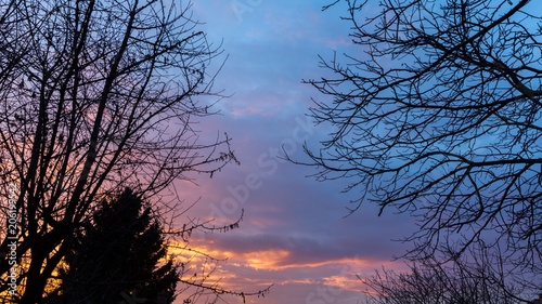 Dramatic sky at sunset in the woods